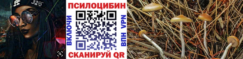 Галлюциногенные грибы прущие грибы  цены наркотик  Лобня 